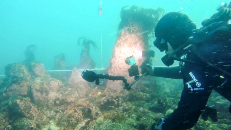 Huge undersea wall dating from 5000 BC found in France