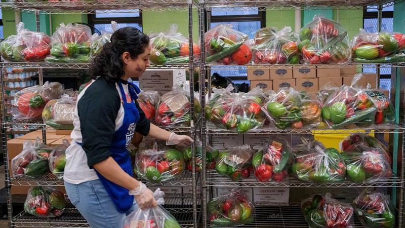 Snap benefits in limbo as judges press Trump administration to fund food aid