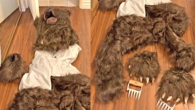 Three sentenced for 'man in bear suit' insurance scam