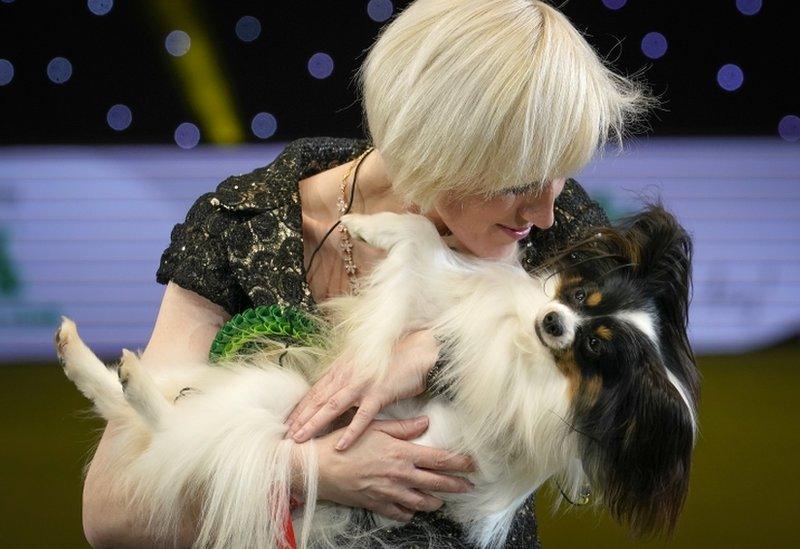 BIRMINGHAM, ENGLAND - MARCH 10: Dylan, a Papillon from Belgium, and owner Kathleen Roosens celebrate after winning Best in Show on the last day of Crufts Dog Show at the National Exhibition Centre on March 10, 2019 in Birmingham, England