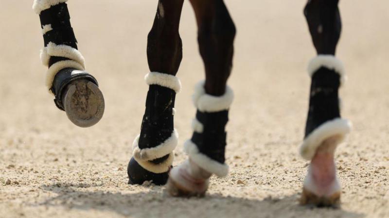 Horse rider, 37, dies following fall during event