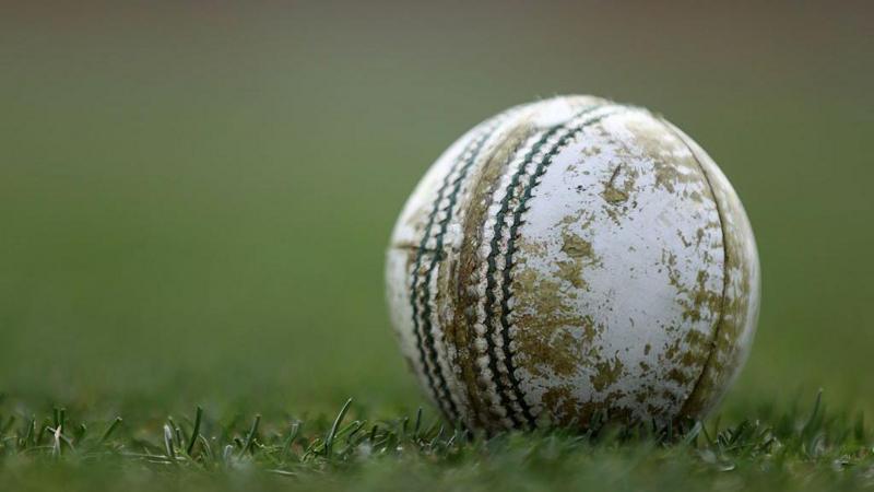Teenage cricketer dies in Melbourne after being hit by ball