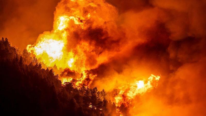 Dozens injured and thousands evacuated in Croatia wildfire