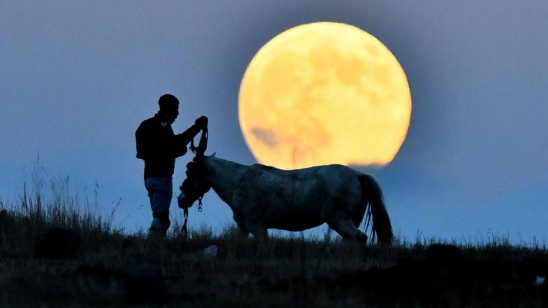 Wednesday's Beaver supermoon pictured around the world