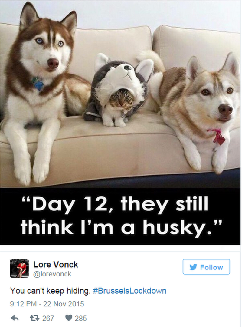 Lore Vonck tweets: You can't keep hiding. #BrusselsLockdown