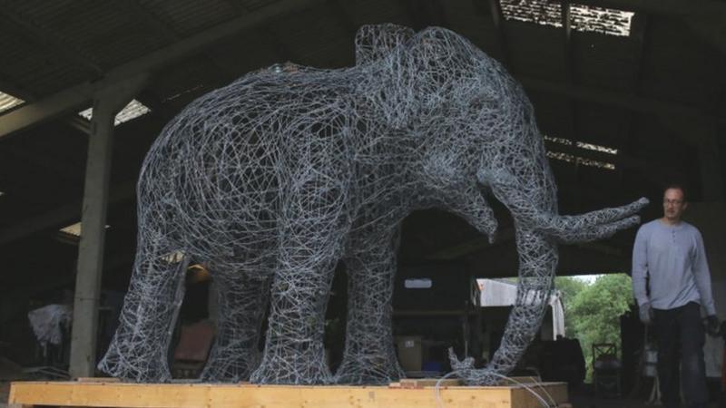 Kidlington: Knitted Rosie elephants honour Oxford Zoo icon - BBC News