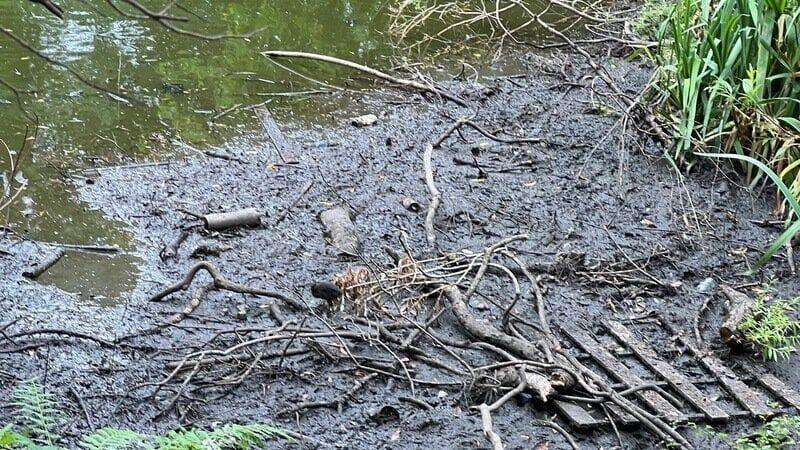 Branches, twigs and mud is revealed next to a partly dried-up pool with receding water.