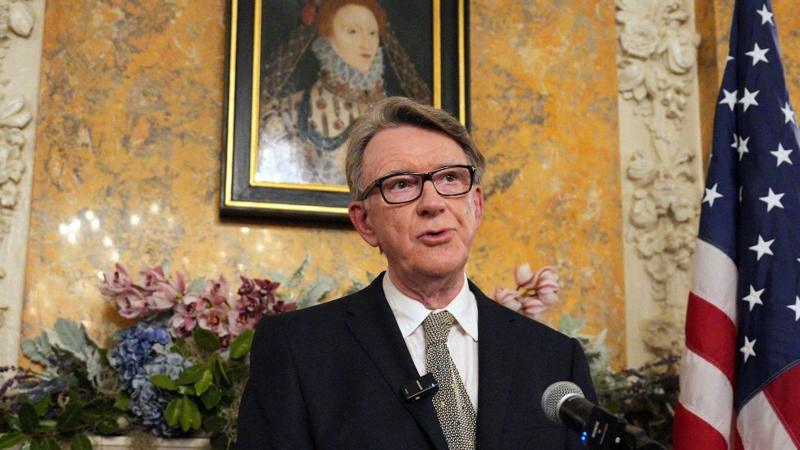 'Widespread revulsion' in Labour over Mandelson's links with Epstein, says MP