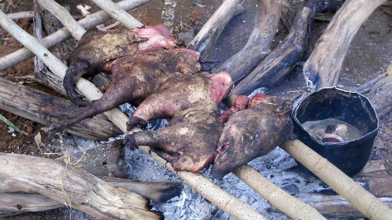 Meat cooking over an open fire