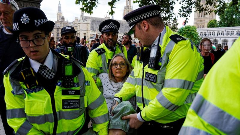 Arrests made at rally against Palestine Action ban in London
