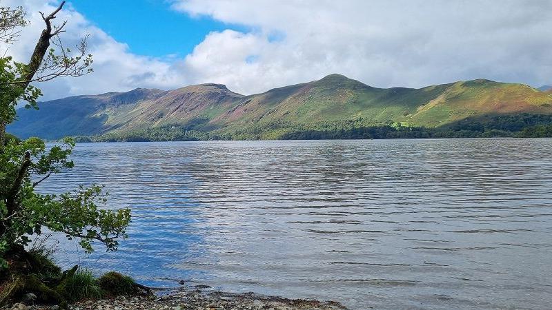Green hills above Derwentwater which is a large lake with ripples on top of the water. A pebble beach and tree can be seen in the bottom left corner.