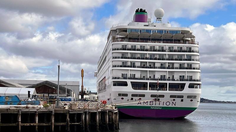 Search for cruise ship passenger feared to have fallen overboard