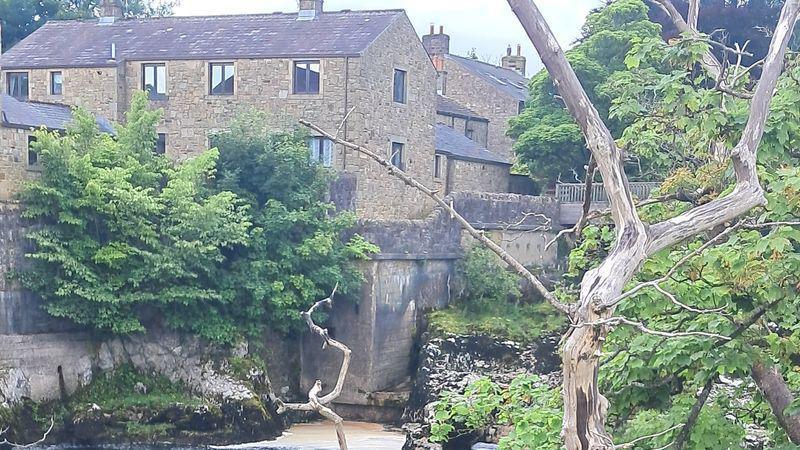 A view across a river looking at limestone buildings and a bridge, with foliage in the foreground.