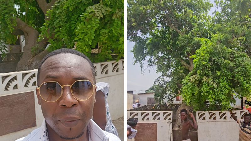 'This tree was planted by my ancestor hundreds of years ago and my family settled here'