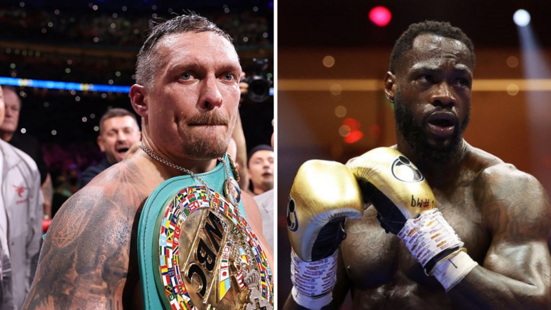I want to fight Wilder next - Usyk