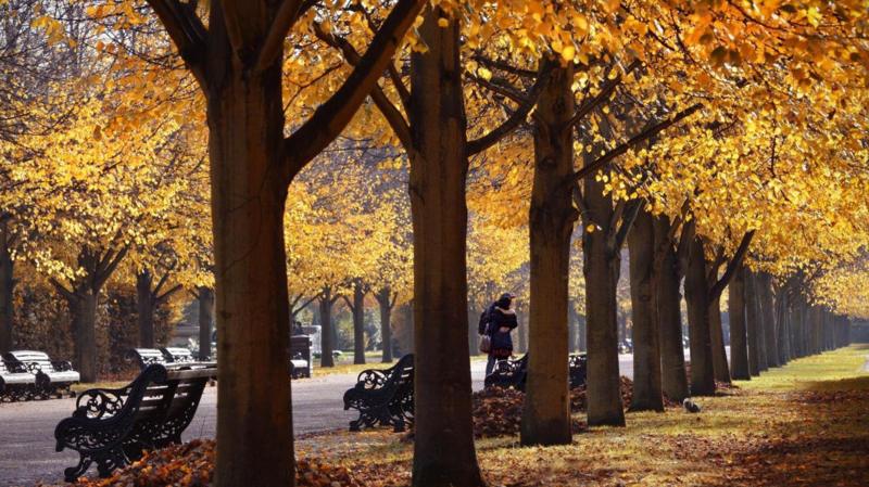UK records warmest ever Bonfire night - when will November temperatures finally drop?