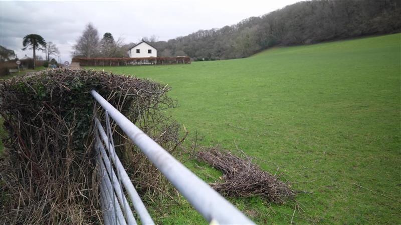 Llun o gae gwyrdd lle all 33 o dai gael eu hadeiladu yn Llanilar