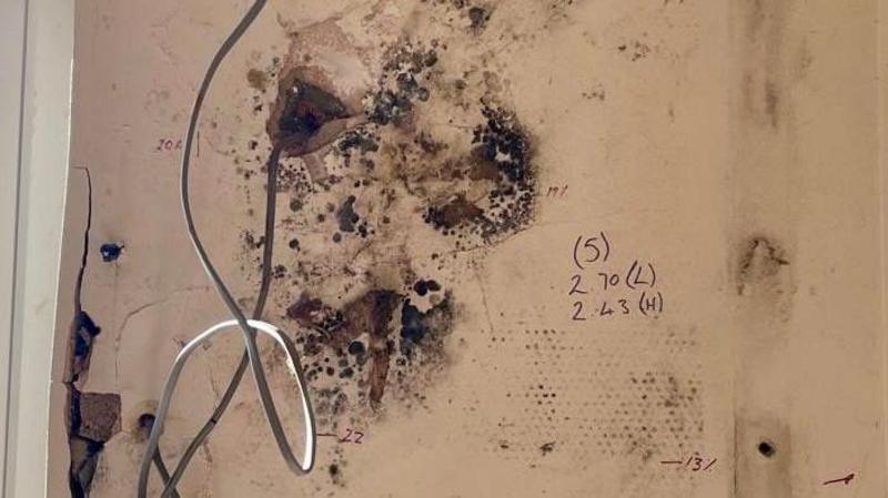 Botched insulation scheme was 'doomed to fail', say MPs