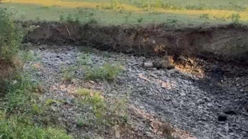 Community moves thousands of fish after brook dries out