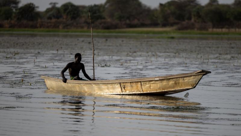 Dozens of Nigerian fishermen feared dead after Chad air strikes on Boko Haram