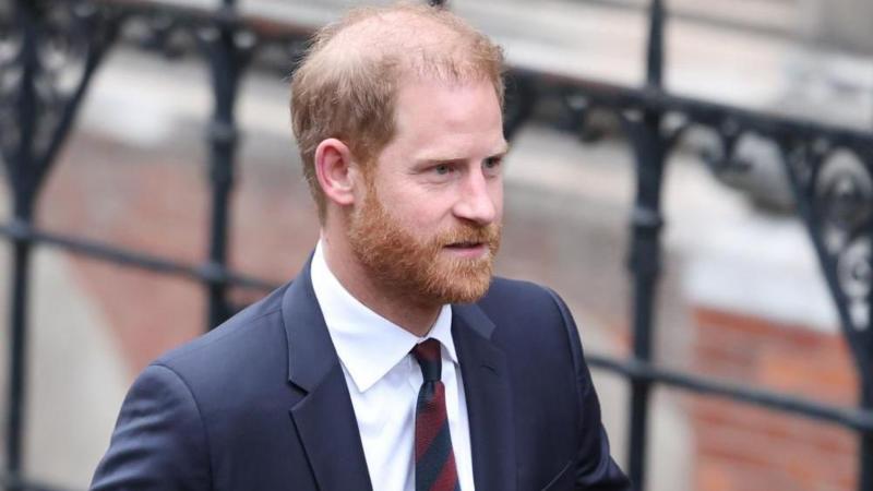 Investigator 'did unlawful stuff' regarding Harry, court hears