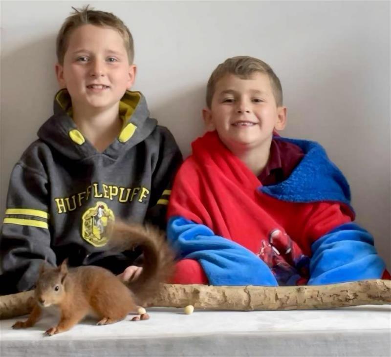 The two brothers Morgan and Pheonix sat in Harry Potter and Spider-Man dressing gowns with a red squirrel in front of them.