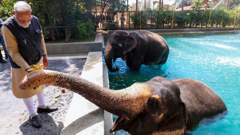 Indian billionaire family's private zoo cleared of 'foul play'
