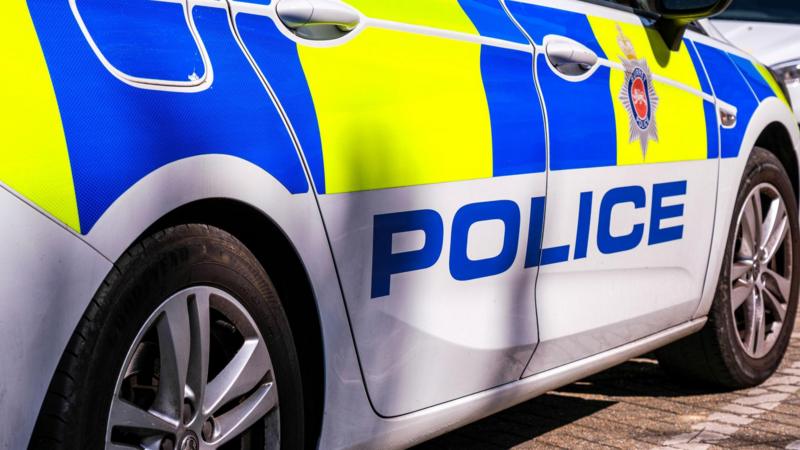 Arrest after two teenagers die in car crash with tree