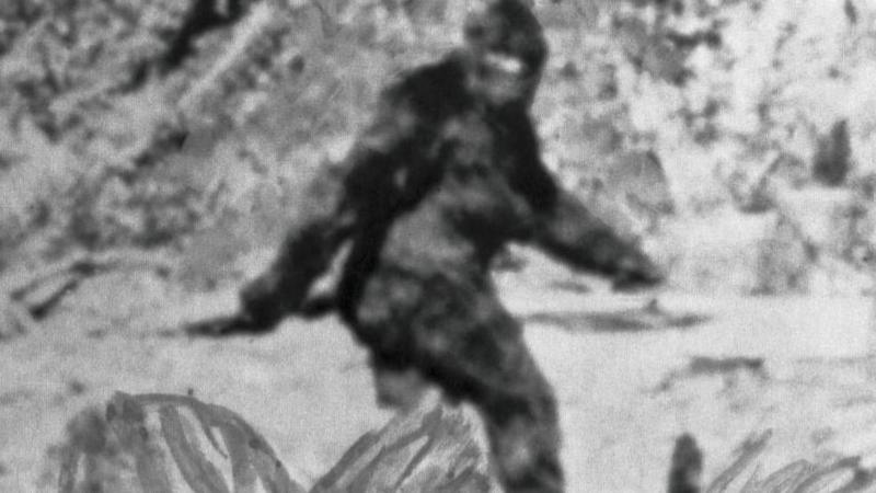 Researchers spent years interviewing 160 Bigfoot hunters - this is what they learnt