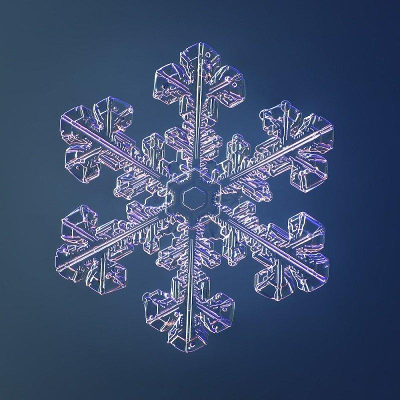 Snowflakes measure just a few millimetres across