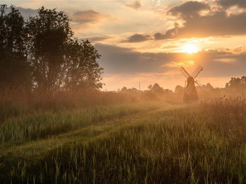 A windpump with sails at Wicken Fen nature reserve. The sun is low and bright in a cloudy sky behind it. There is a grassy path heading towards the windpump, with reedbeds/ditches on either side.. and some trees.