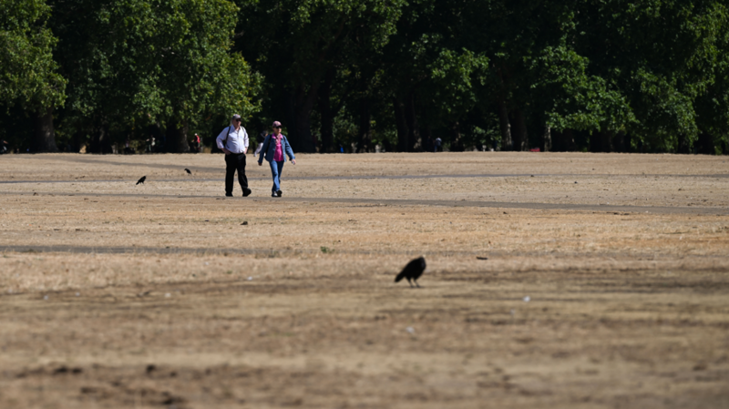 Brief relief ahead of fifth heatwave - as more areas could move into drought