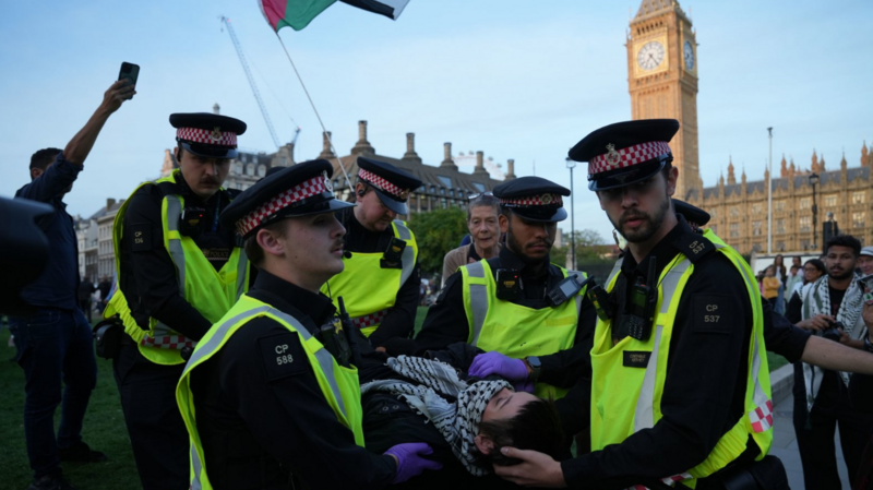 MPs push for change on Palestine Action but minister stands firm