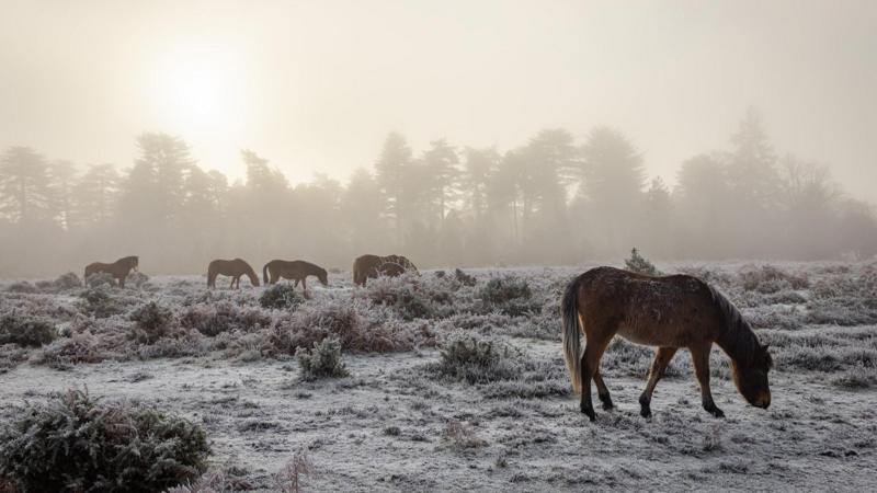 UK prepares for New Year celebrations as cold weather warnings issued