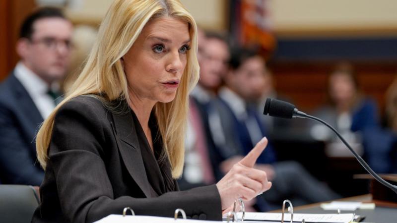 Spats, theatrics and a walkout - How the Pam Bondi hearing unfolded