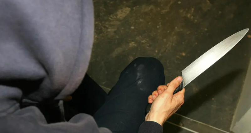 Person holding a kitchen knife. They are wearing a dark grey hood