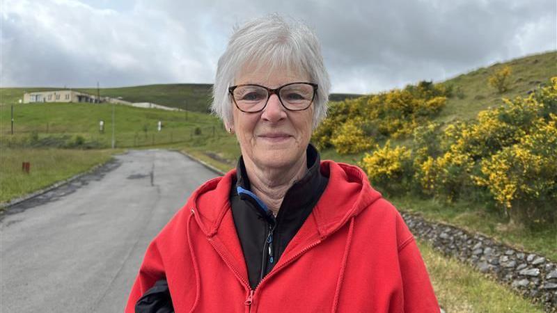 Sue Hogan