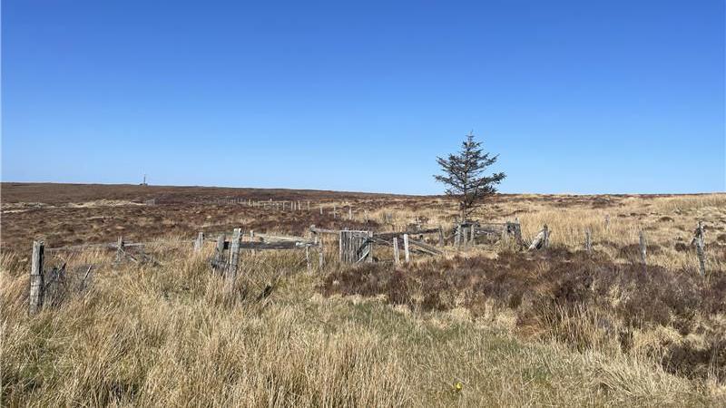 Mòinteach Bharabhais