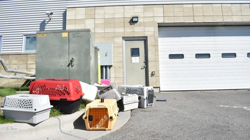 Animal shelter workers hospitalised after FBI uses furnace to burn seized meth