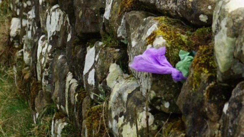 'Lazy' dog owners hide poo bags in Hadrian's Wall