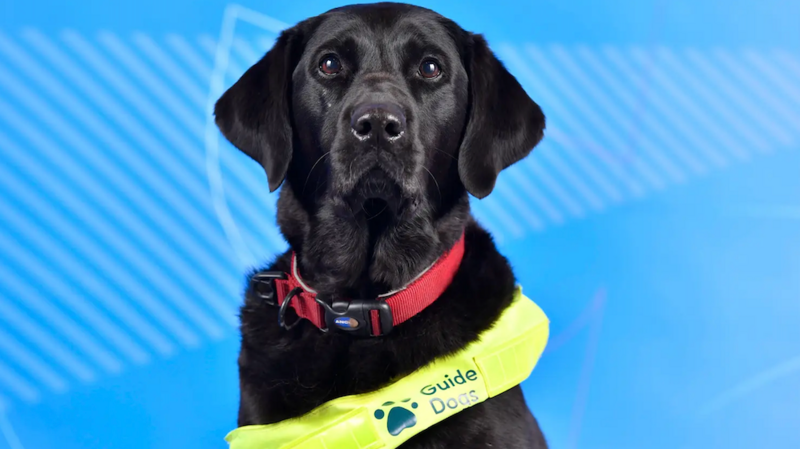 Meet ParalympicsGB's 26th team member