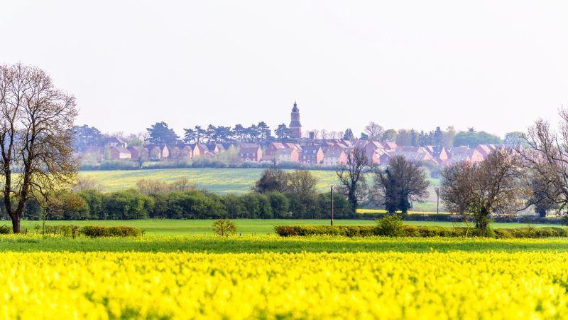 A view across open fields towards the St Crispin estate in Northampton. The clock tower of the former St Crispin Asylum is visible centrally rising above houses and tall trees. There is a field of yellow rapeseed in the foreground.