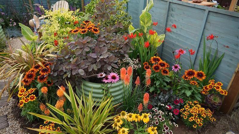 A floral display in an outdoor garden display at the Sandringham Flower Show with yellow, orange and pink flowers.