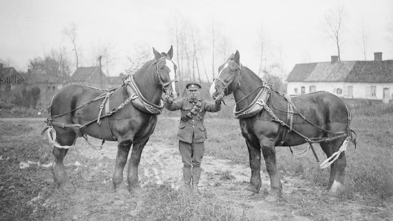 Milwr gyda dau geffyl