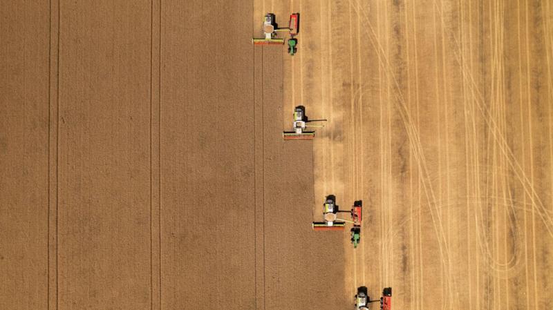 Farmers warn shoppers face smaller and more expensive vegetables due to hot weather