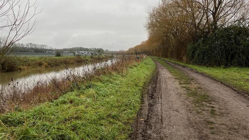 A picture of the muddy path adjacent to the River Mole