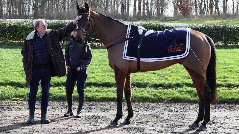 'Dream come true' - Redknapp eyes Jukebox Man Gold Cup win