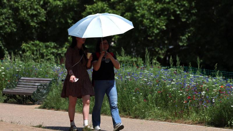 UK temperatures forecast to exceed 30C as another heatwave imminent
