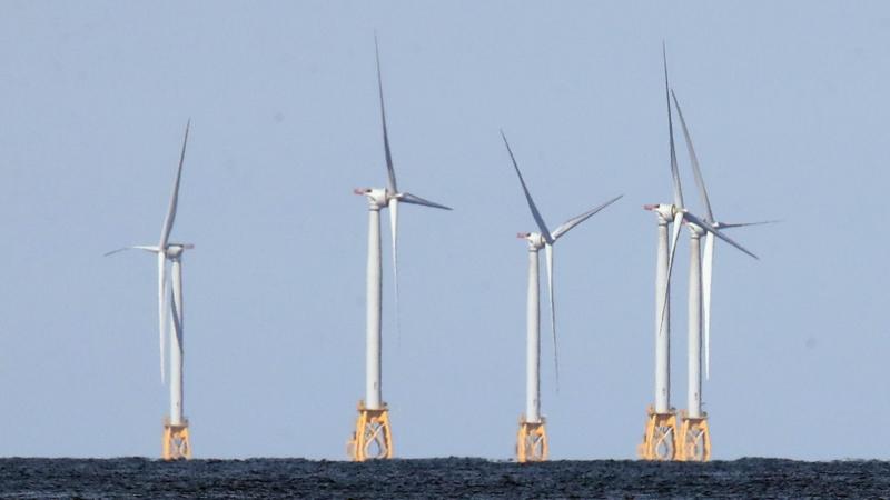 US strikes $1.2bn deal to pay German firm to halt offshore wind projects