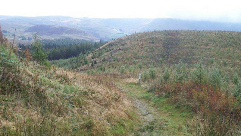 Police shut down illegal rave in forestry